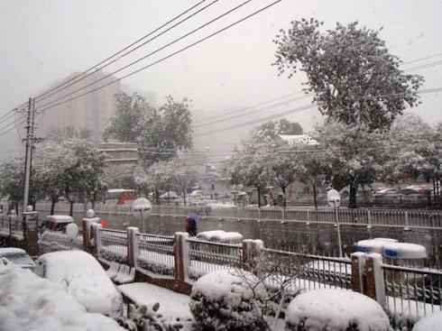 你在北方裹着貂，北京居然下雪啦！