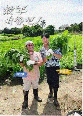 城市拾荒者 剧照